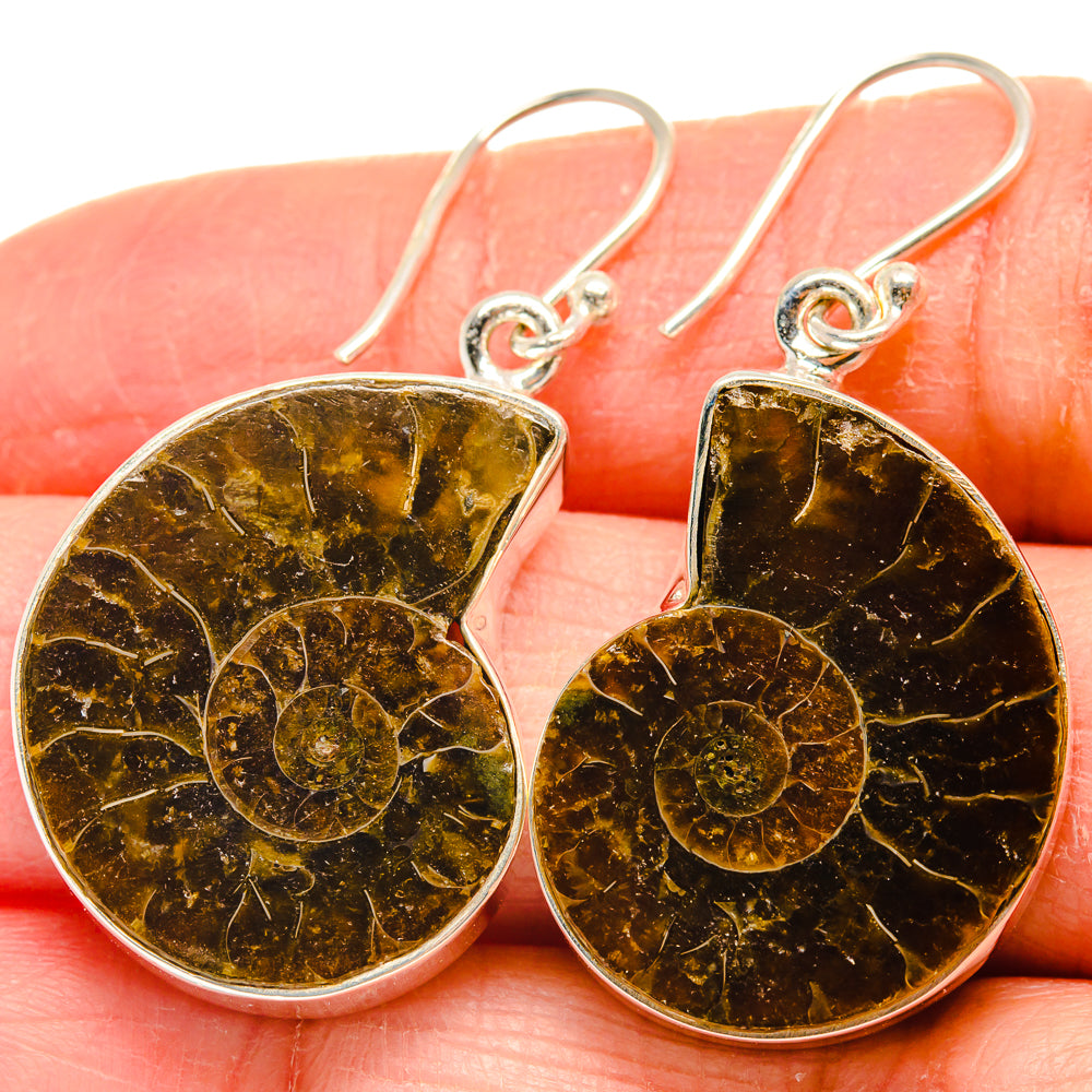 Ammonite Fossil Earrings handcrafted by Anasilvercos - EARR424328