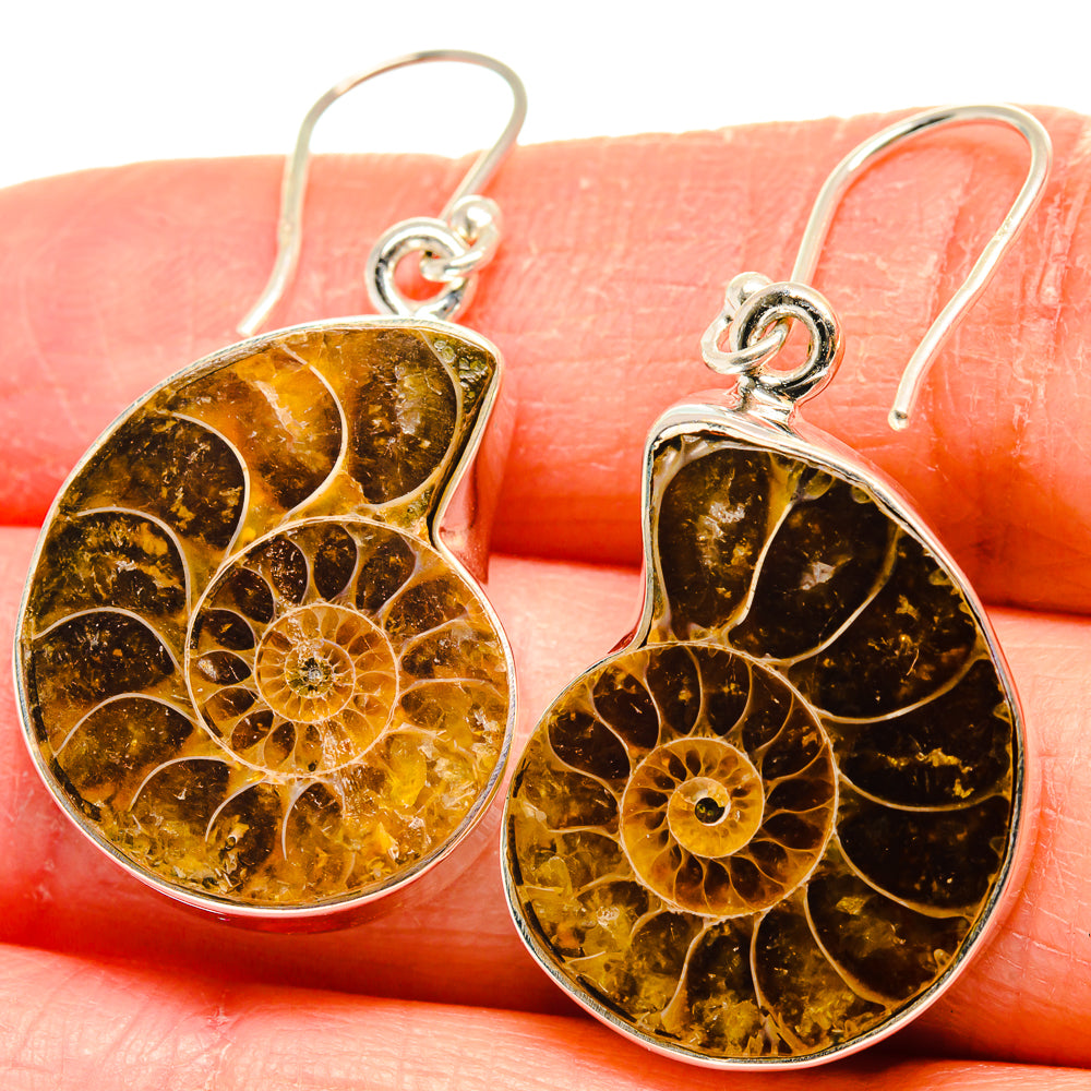 Ammonite Fossil Earrings handcrafted by Anasilvercos - EARR424351