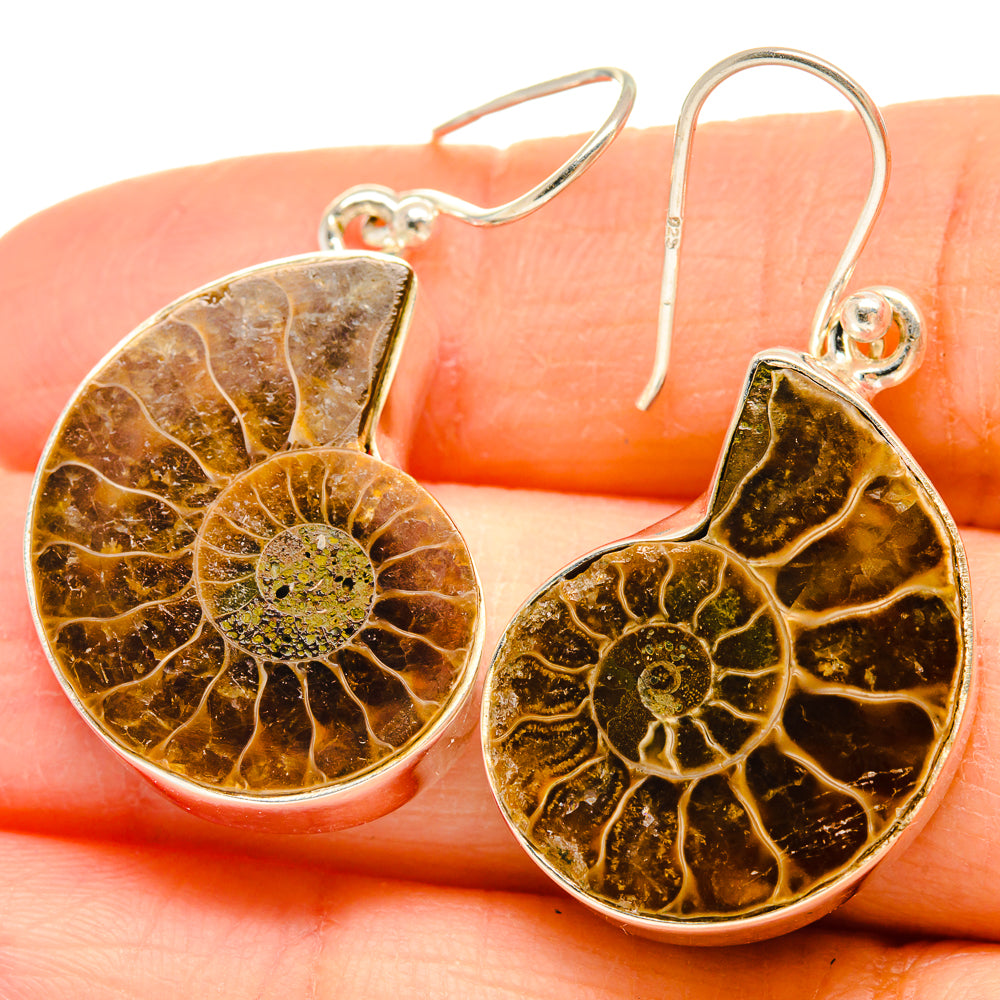 Ammonite Fossil Earrings handcrafted by Anasilvercos - EARR424365
