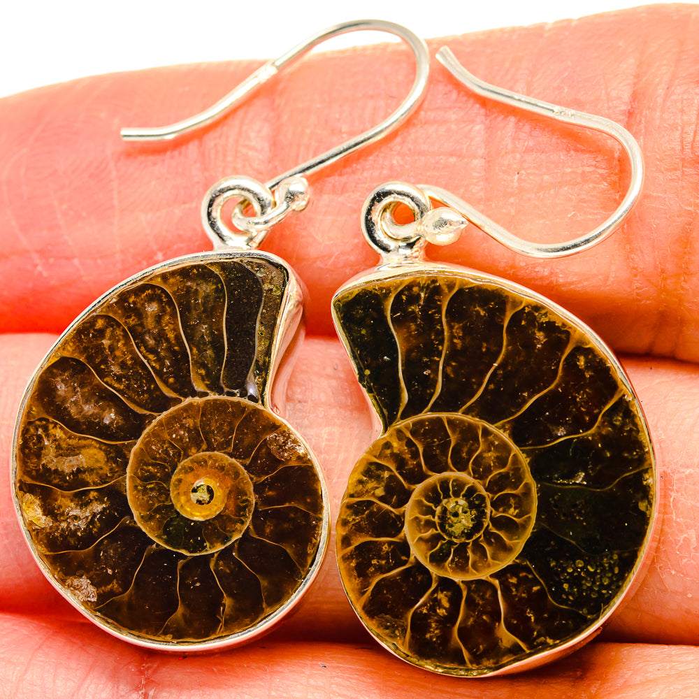 Ammonite Fossil Earrings handcrafted by Anasilvercos - EARR424381
