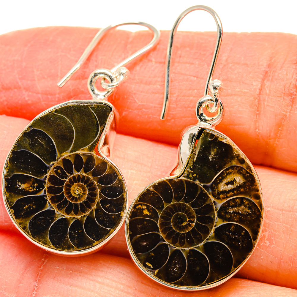 Ammonite Fossil Earrings handcrafted by Anasilvercos - EARR424442