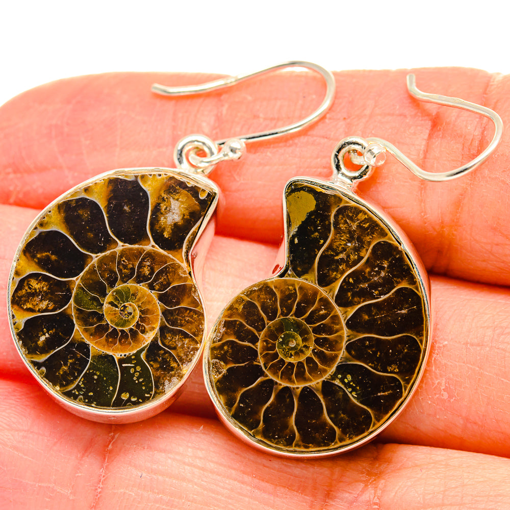 Ammonite Fossil Earrings handcrafted by Anasilvercos - EARR424449
