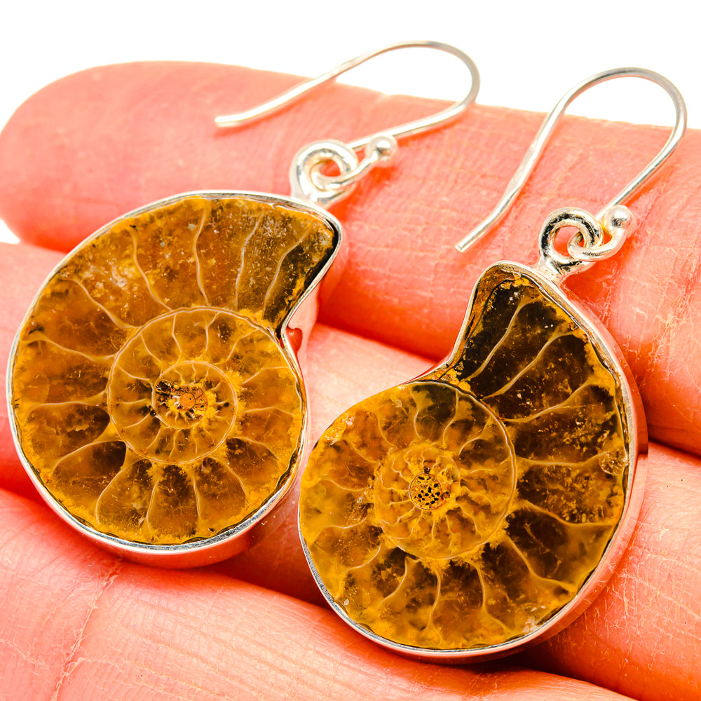 Ammonite Fossil Earrings handcrafted by Anasilvercos - EARR424473