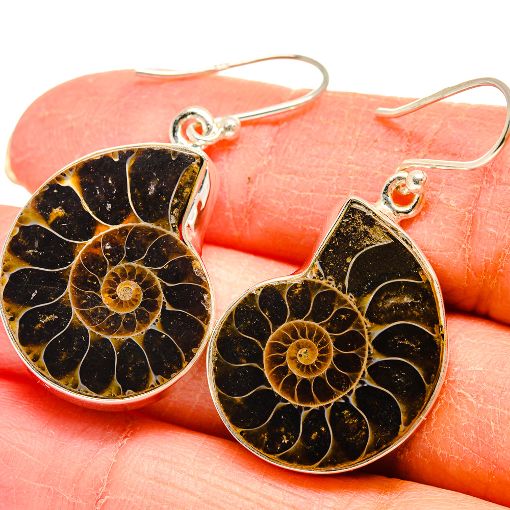 Ammonite Fossil Earrings handcrafted by Anasilvercos - EARR424479