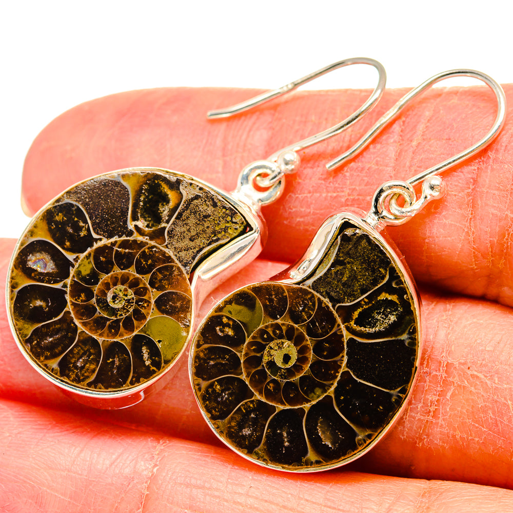 Ammonite Fossil Earrings handcrafted by Anasilvercos - EARR424484