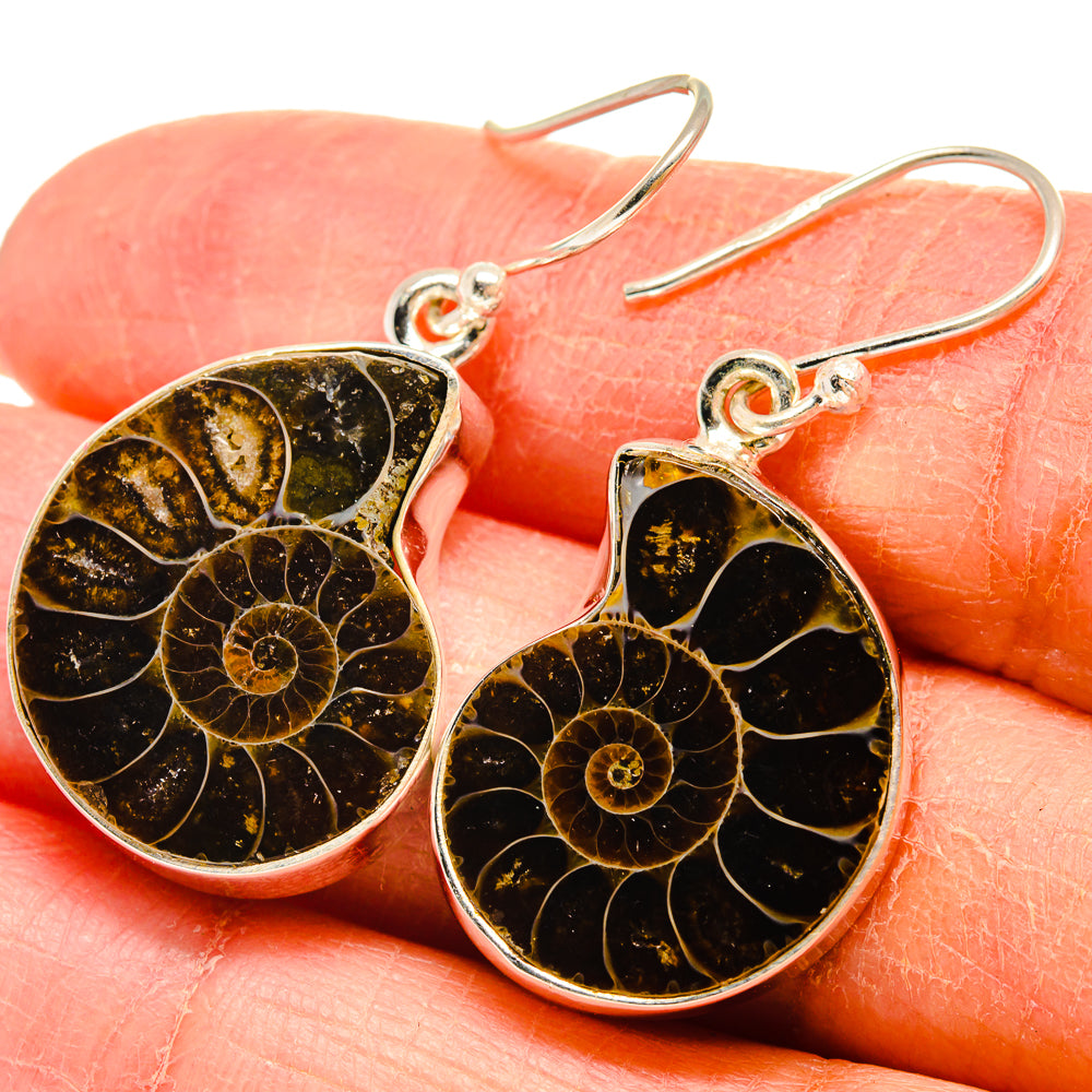 Ammonite Fossil Earrings handcrafted by Anasilvercos - EARR424498