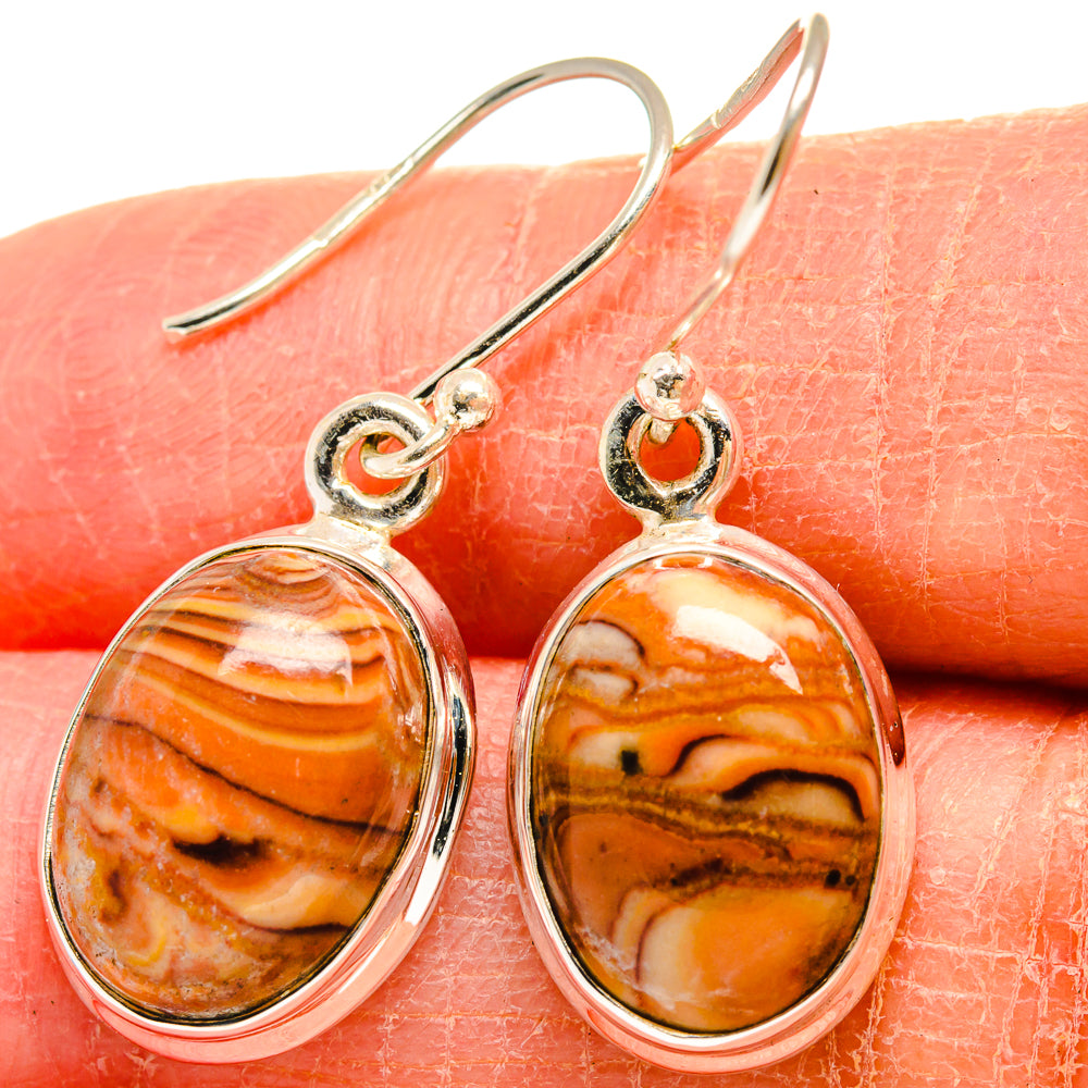 Wild Horse Jasper Earrings handcrafted by Anasilvercos - EARR424510