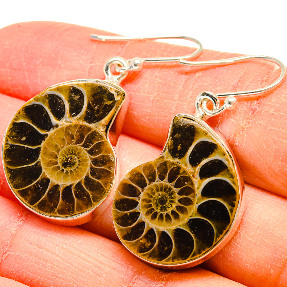 Ammonite Fossil Earrings handcrafted by Anasilvercos - EARR424535