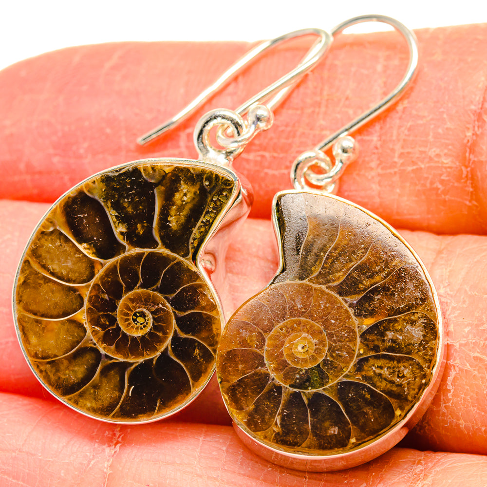 Ammonite Fossil Earrings handcrafted by Anasilvercos - EARR424544