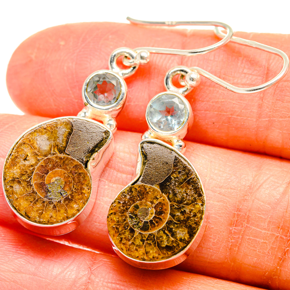 Ammonite Fossil Earrings handcrafted by Anasilvercos - EARR424661