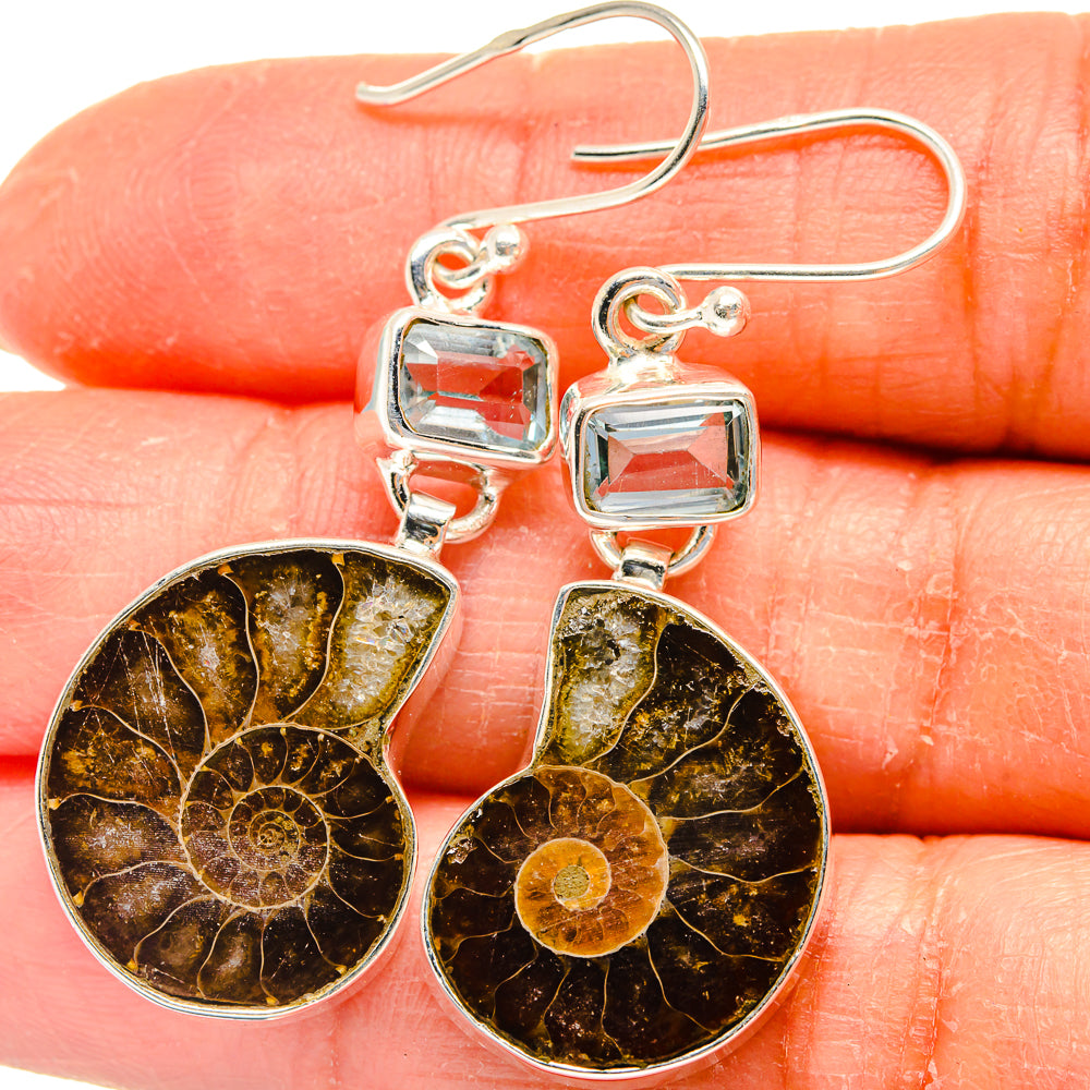 Ammonite Fossil Earrings handcrafted by Anasilvercos - EARR424803