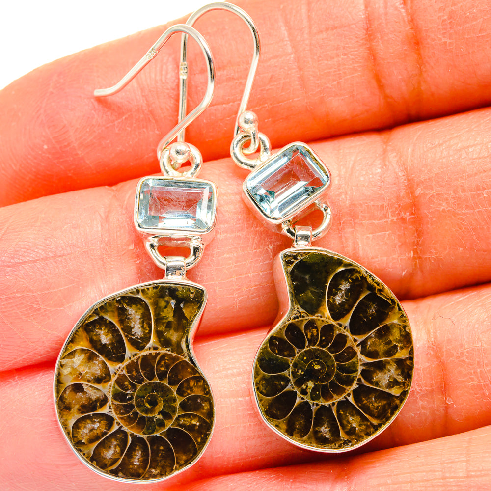 Ammonite Fossil Earrings handcrafted by Anasilvercos - EARR424856