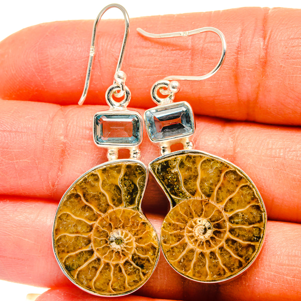 Ammonite Fossil Earrings handcrafted by Anasilvercos - EARR424859