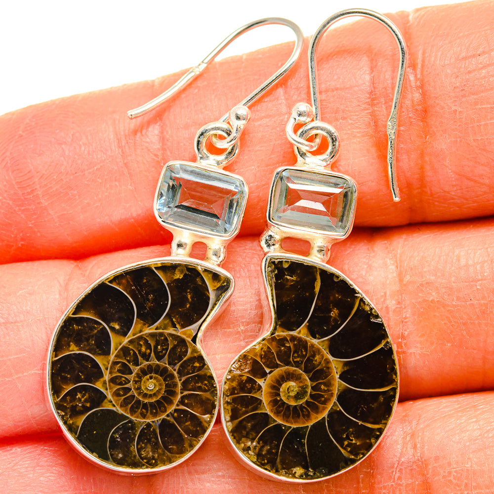 Ammonite Fossil Earrings handcrafted by Anasilvercos - EARR424864