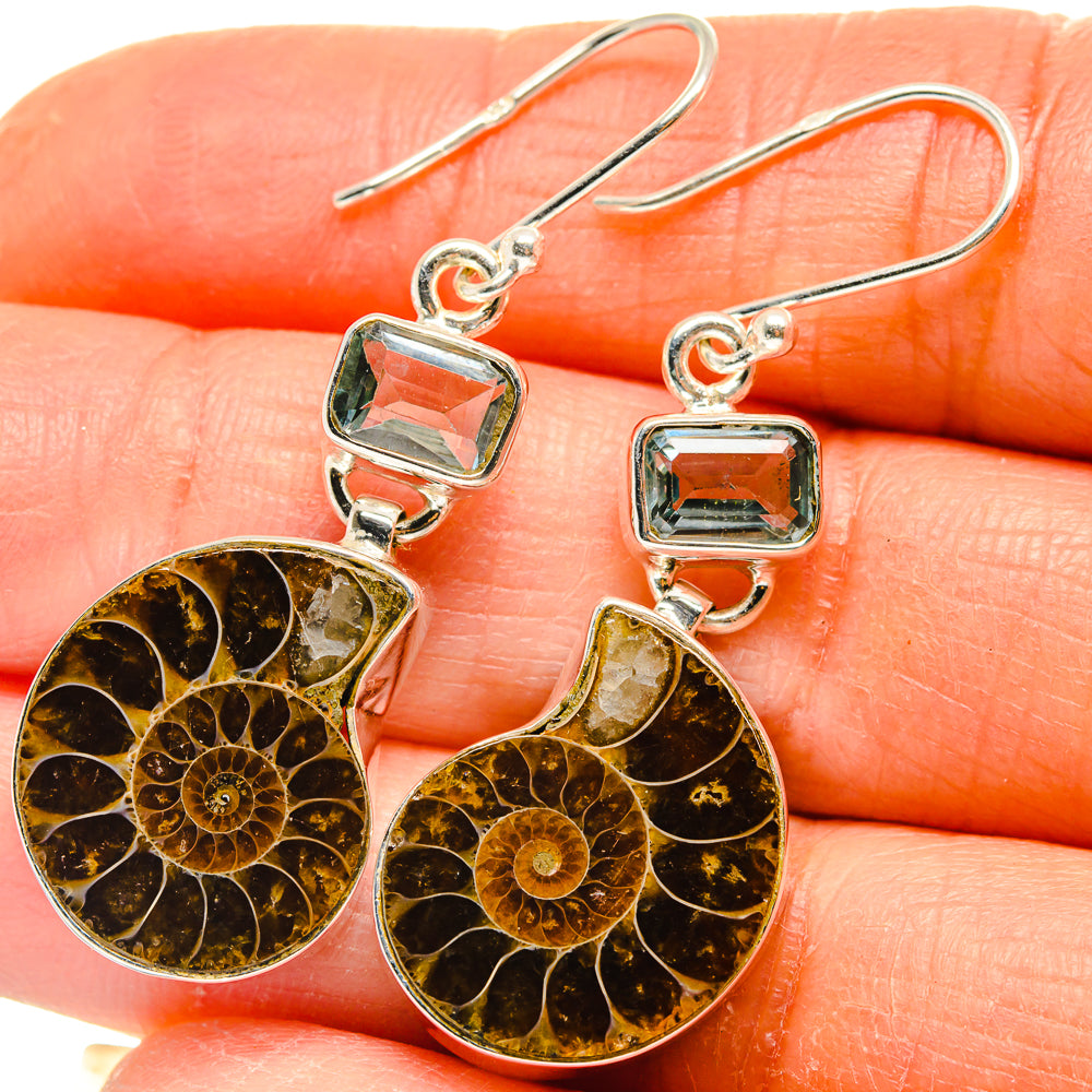 Ammonite Fossil Earrings handcrafted by Anasilvercos - EARR424950