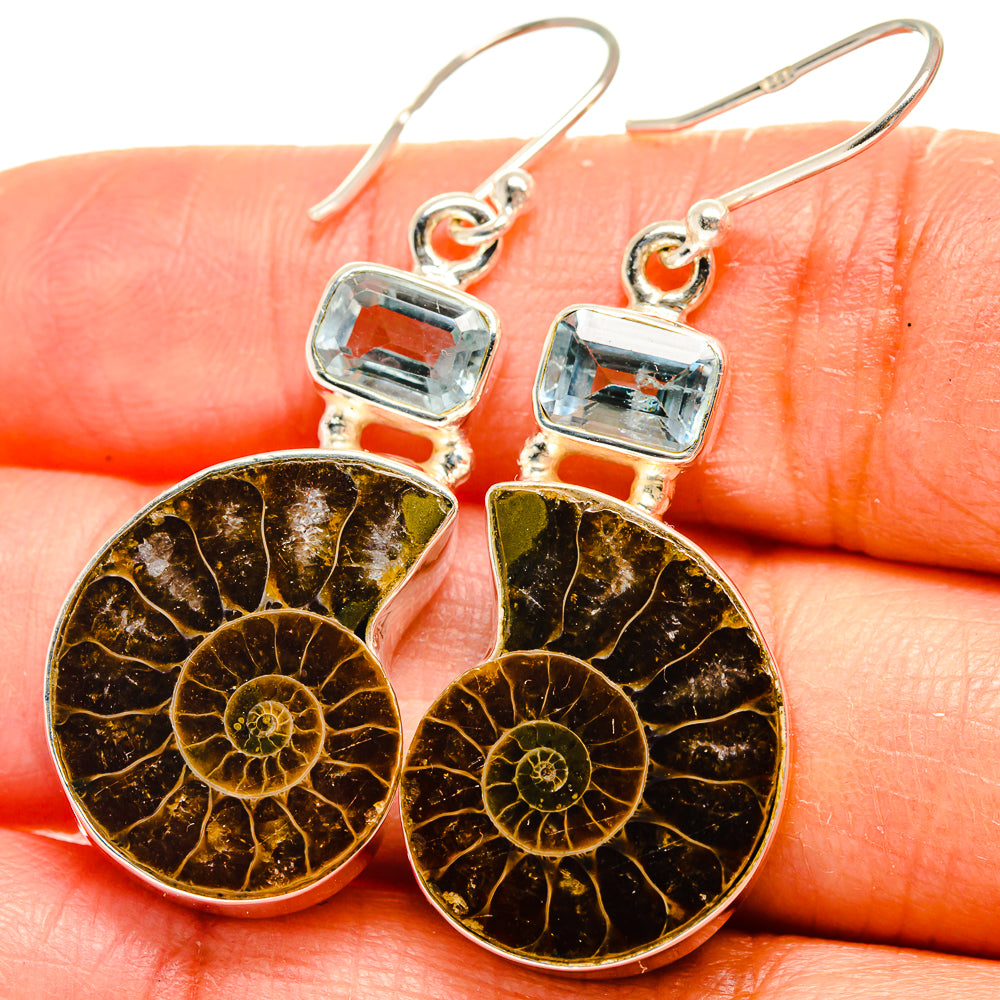 Ammonite Fossil Earrings handcrafted by Anasilvercos - EARR424975