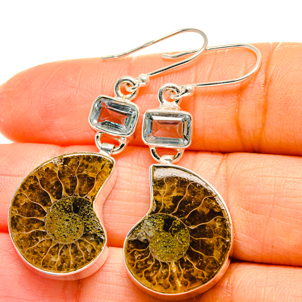 Ammonite Fossil Earrings handcrafted by Anasilvercos - EARR425190
