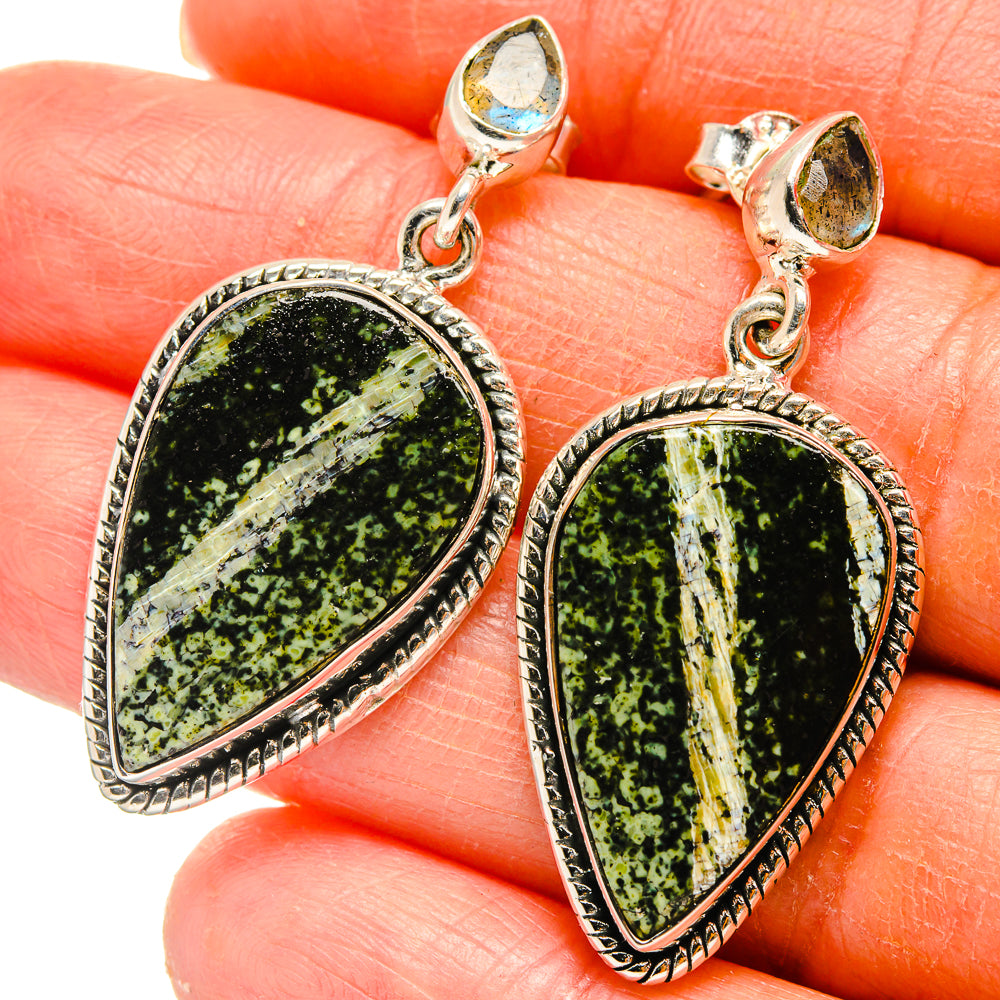 Lizard Jasper Earrings handcrafted by Anasilvercos - EARR425284