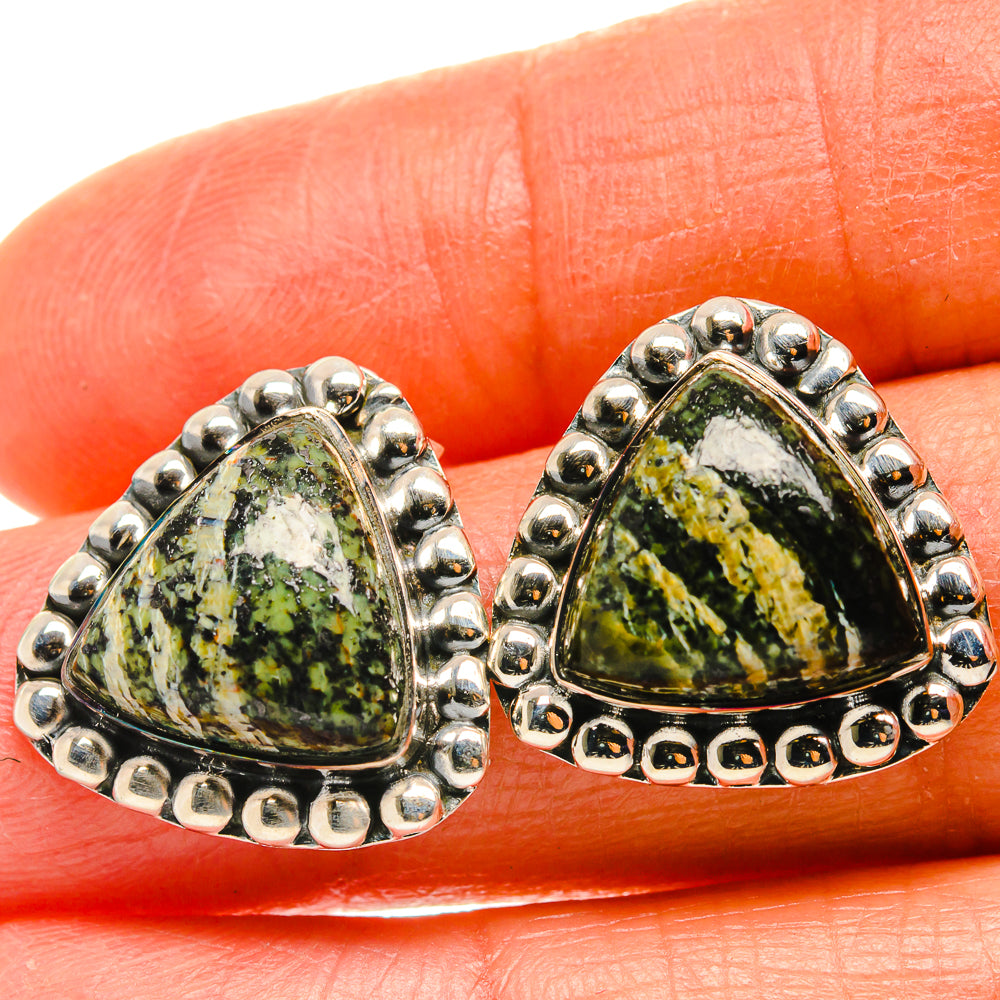 Lizard Jasper Earrings handcrafted by Anasilvercos - EARR425616