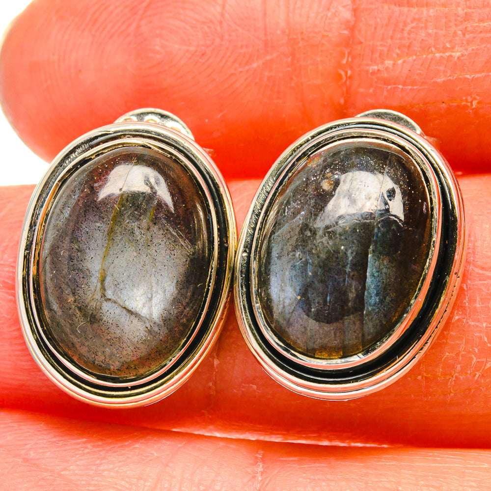 Labradorite Earrings handcrafted by Anasilvercos - EARR425648