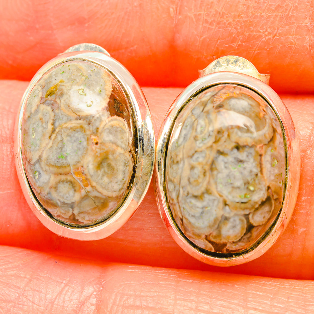 Mushroom Rhyolite Earrings handcrafted by Anasilvercos - EARR426510