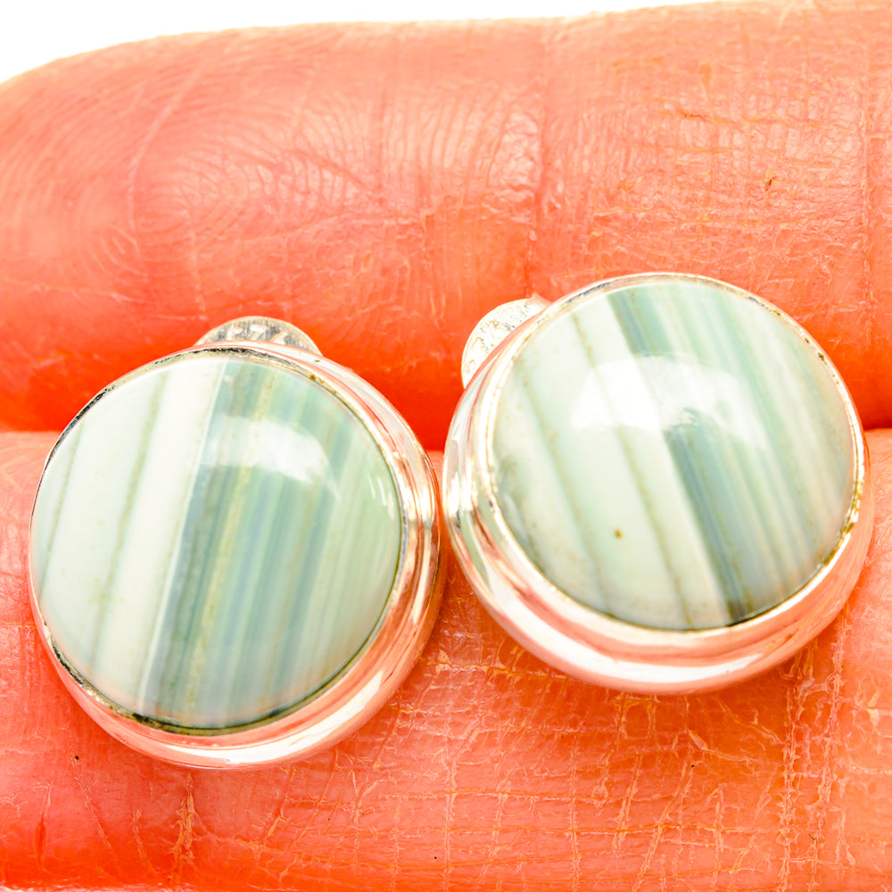 Ocean Jasper Earrings handcrafted by Anasilvercos - EARR426656