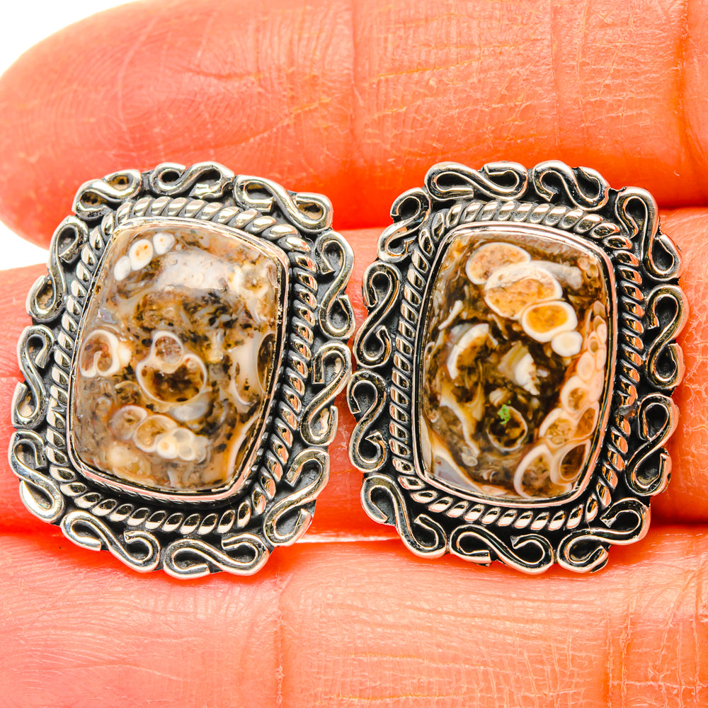 Turritella Agate Earrings handcrafted by Anasilvercos - EARR428403