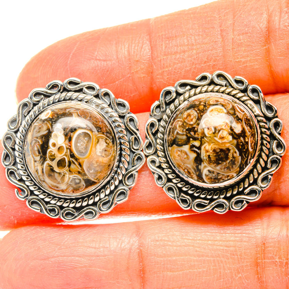 Turritella Agate Earrings handcrafted by Anasilvercos - EARR428463