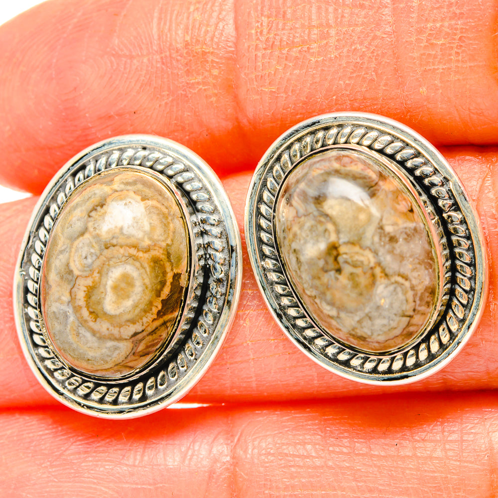 Laguna Lace Agate Earrings handcrafted by Anasilvercos - EARR429056