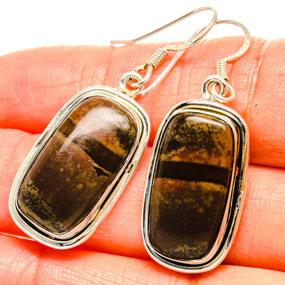 Ocean Jasper Earrings handcrafted by Anasilvercos - EARR429152