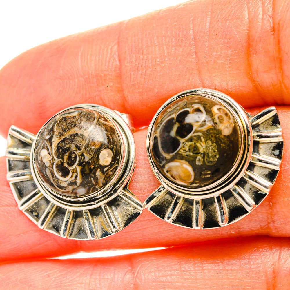 Turritella Agate Earrings handcrafted by Anasilvercos - EARR429160