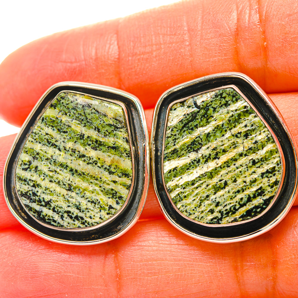 Green Vein Jasper Earrings handcrafted by Anasilvercos - EARR429311