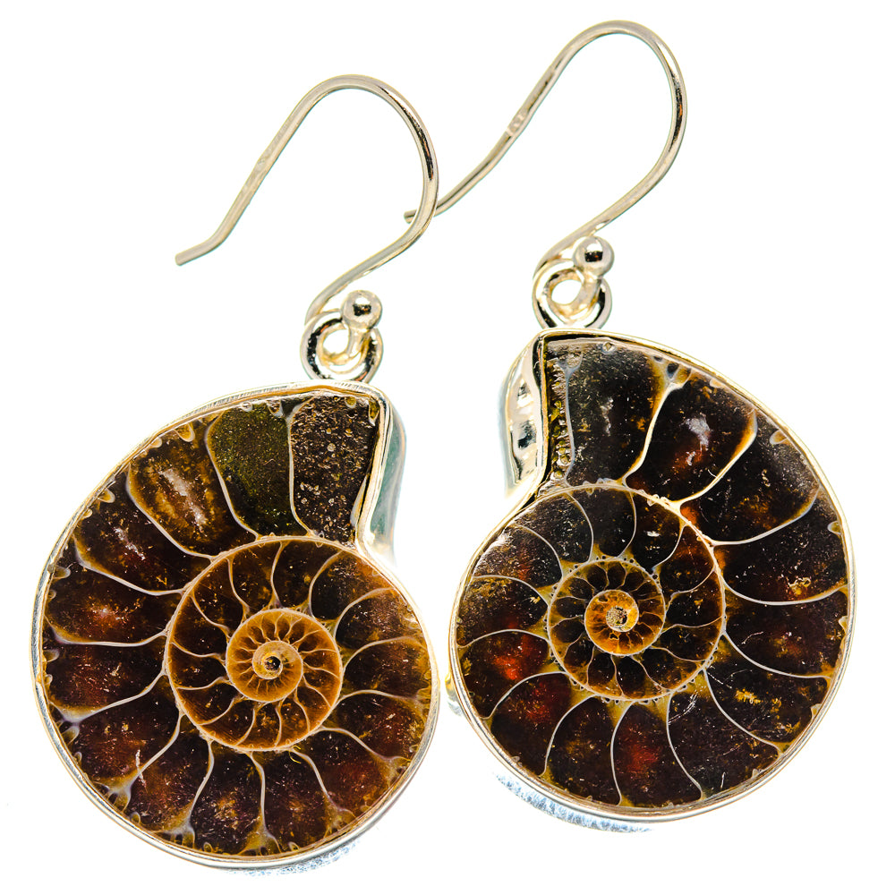 Ammonite Fossil Earrings handcrafted by Anasilvercos - EARR423644