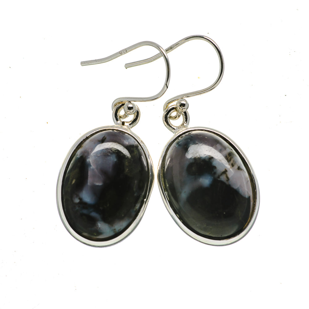 Gabbro Stone Earrings handcrafted by Anasilvercos - EARR392543