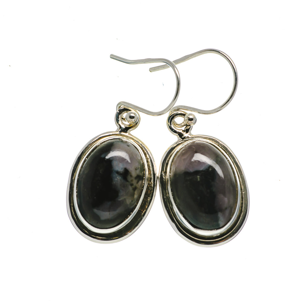 Gabbro Stone Earrings handcrafted by Anasilvercos - EARR393468