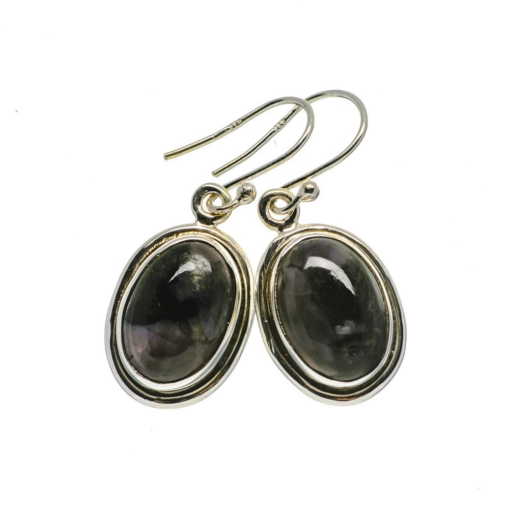 Gabbro Earrings handcrafted by Anasilvercos - EARR393766
