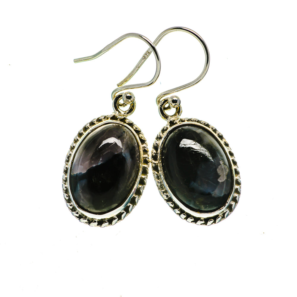 Gabbro Earrings handcrafted by Anasilvercos - EARR394924