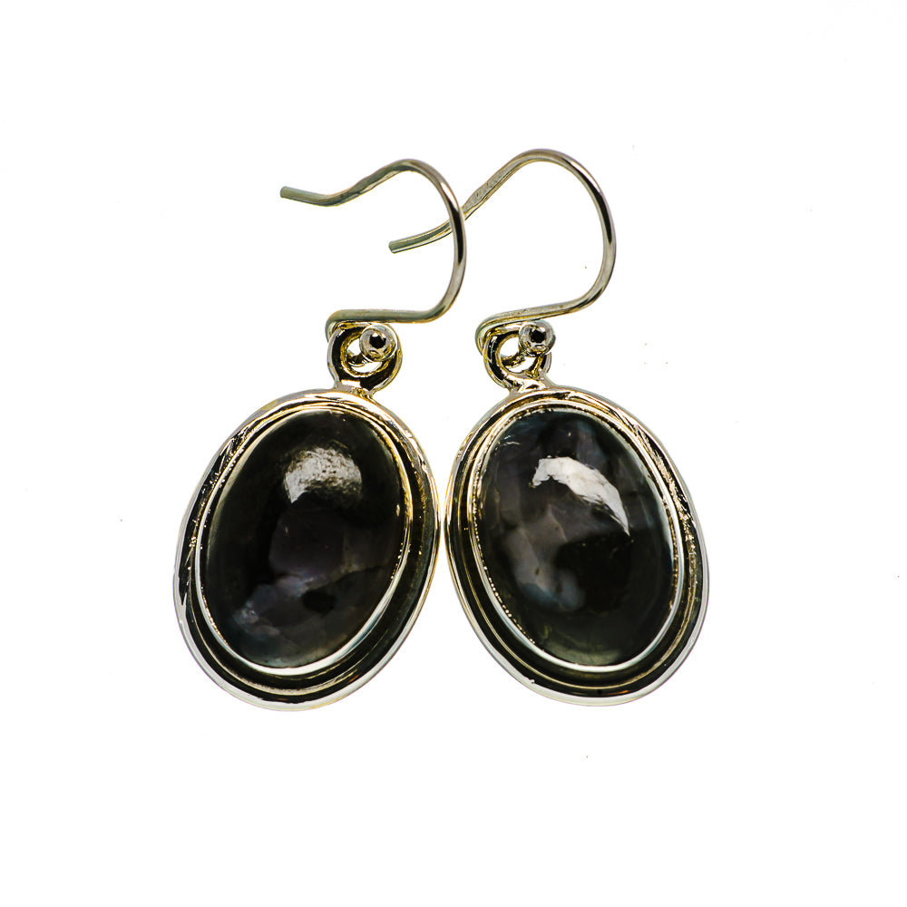 Gabbro Earrings handcrafted by Anasilvercos - EARR395354