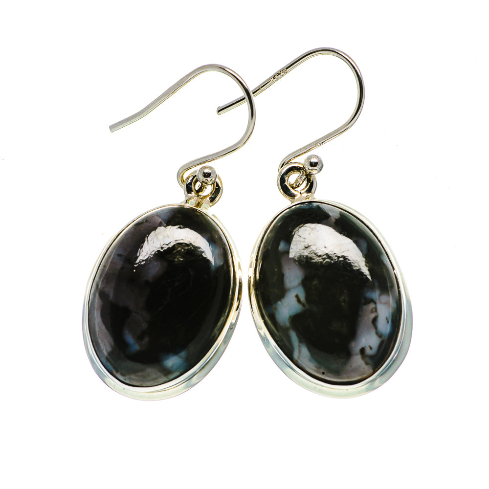 Gabbro Earrings handcrafted by Anasilvercos - EARR395663