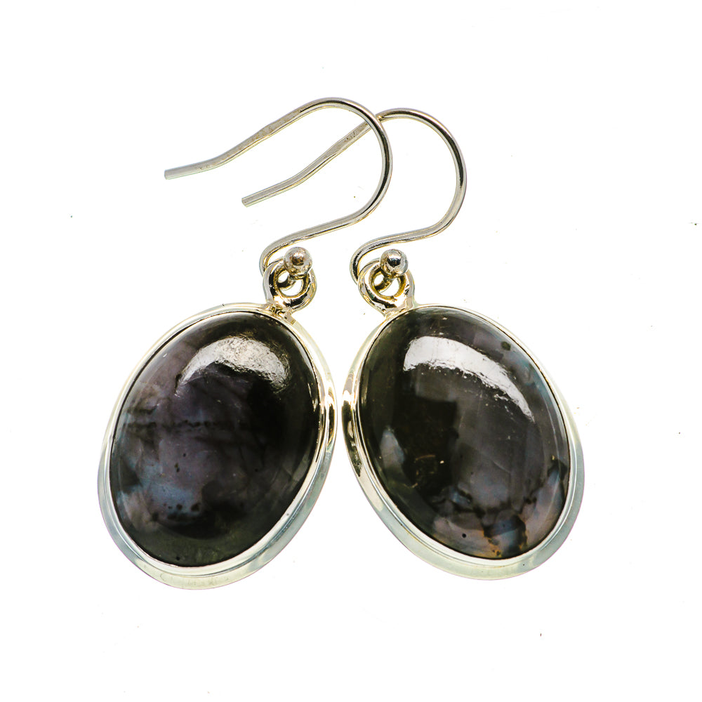 Gabbro Earrings handcrafted by Anasilvercos - EARR399384