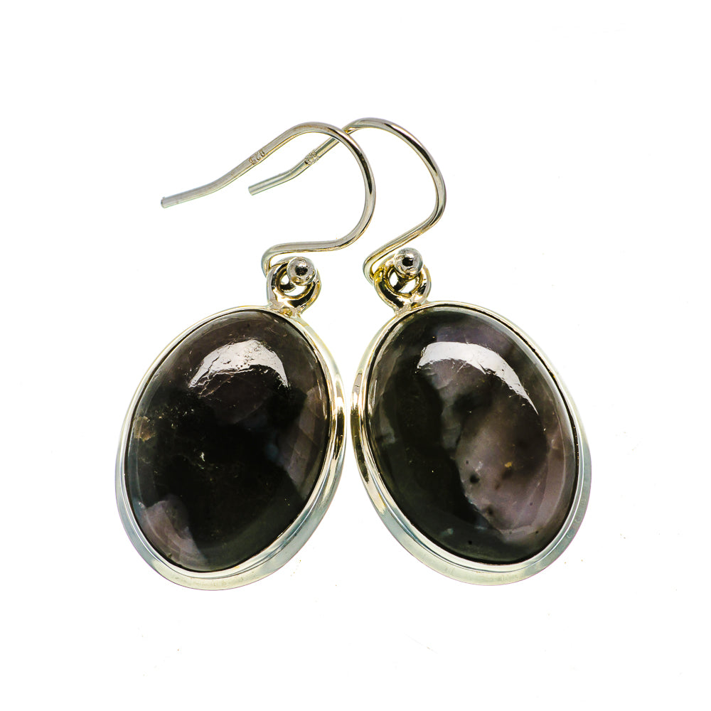 Gabbro Earrings handcrafted by Anasilvercos - EARR399427