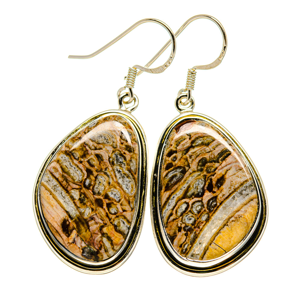 Chert Breccia Earrings handcrafted by Anasilvercos - EARR411608