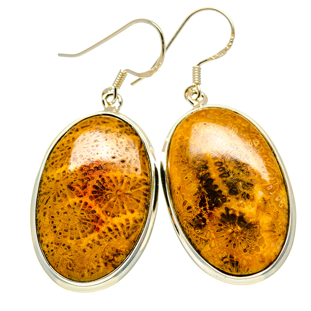 Fossil Coral Earrings handcrafted by Anasilvercos - EARR413482