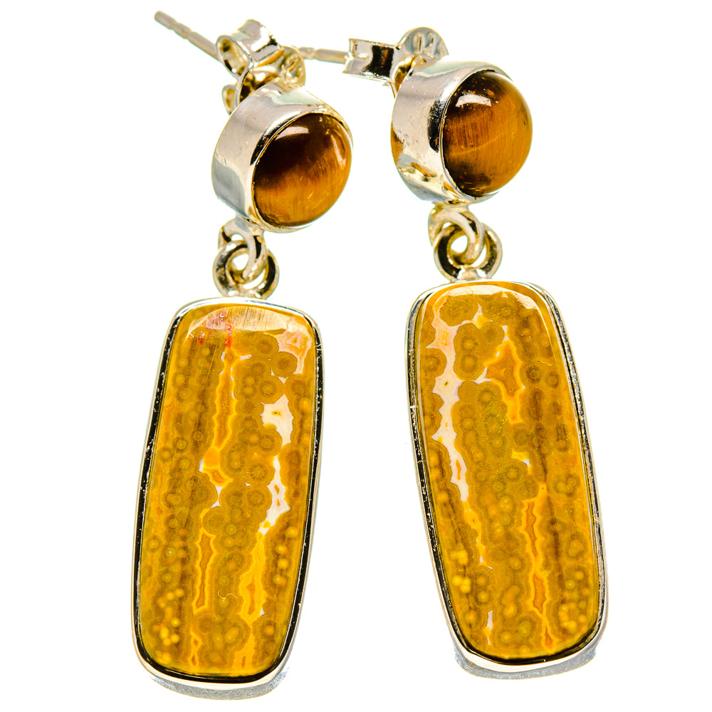 Ocean Jasper Earrings handcrafted by Anasilvercos - EARR414133