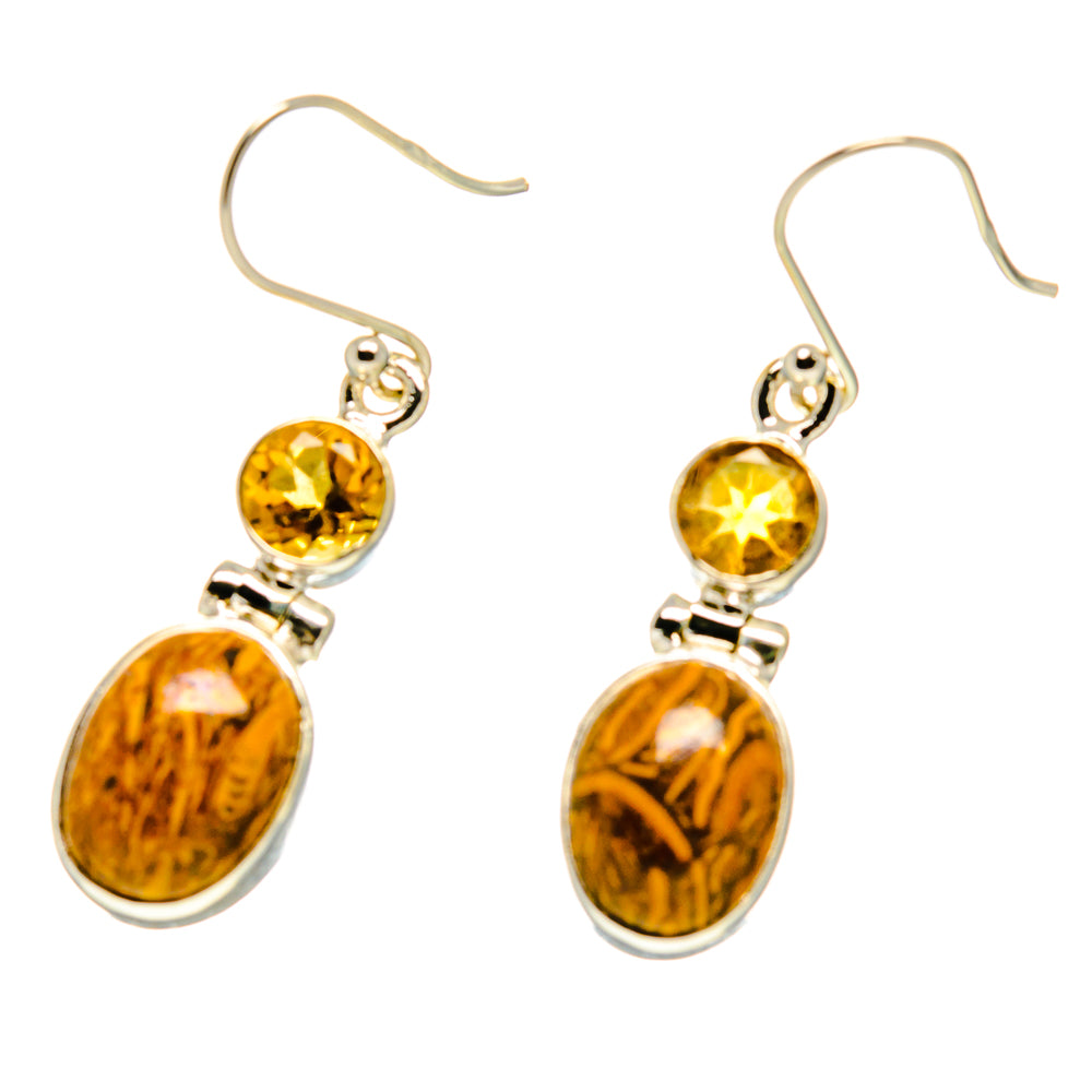 Palm Wood Jasper Earrings handcrafted by Anasilvercos - EARR416765