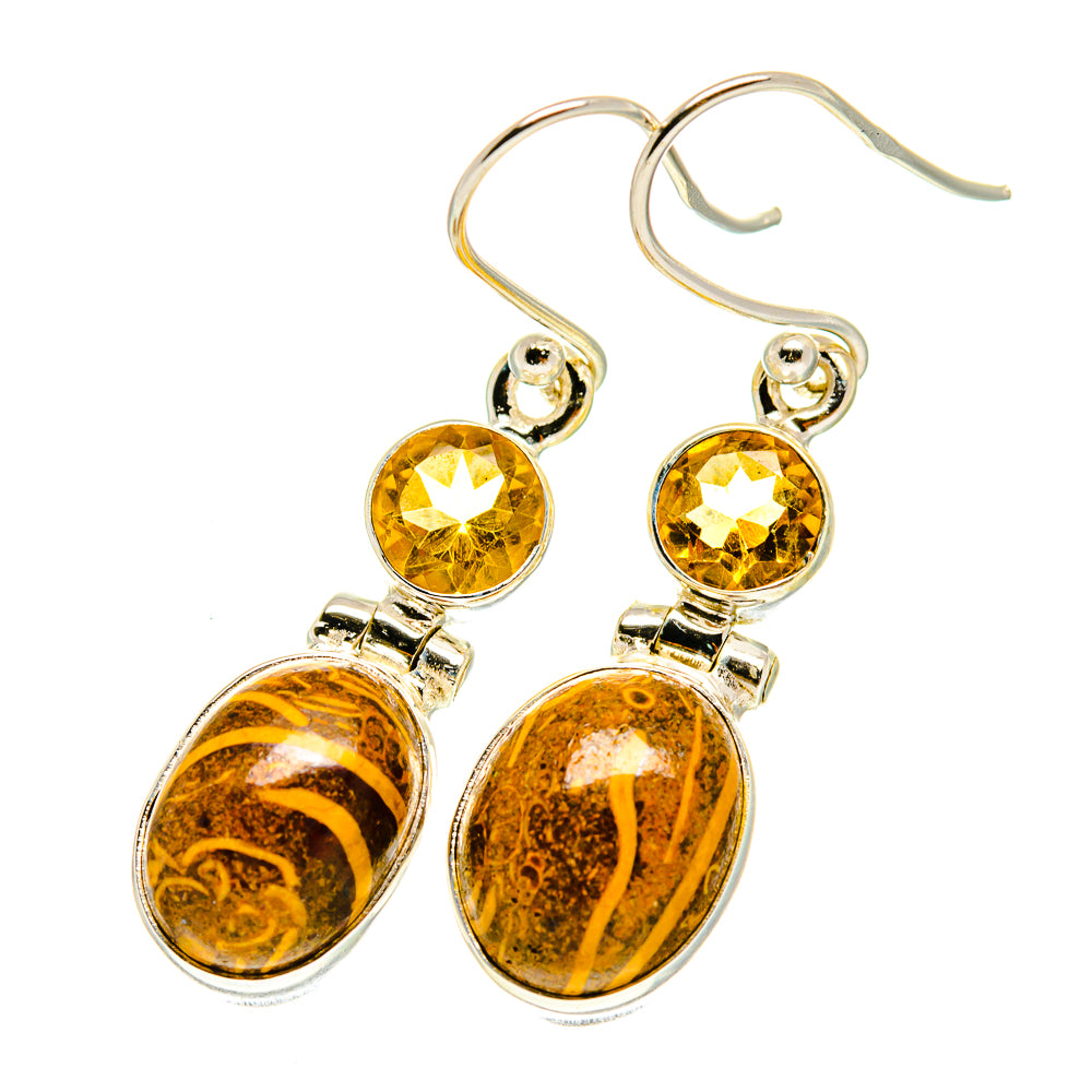 Palm Wood Jasper Earrings handcrafted by Anasilvercos - EARR417412