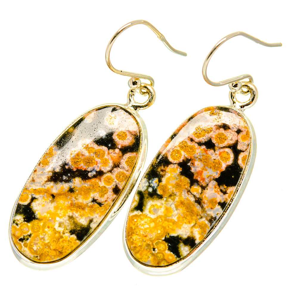 Ocean Jasper Earrings handcrafted by Anasilvercos - EARR417543