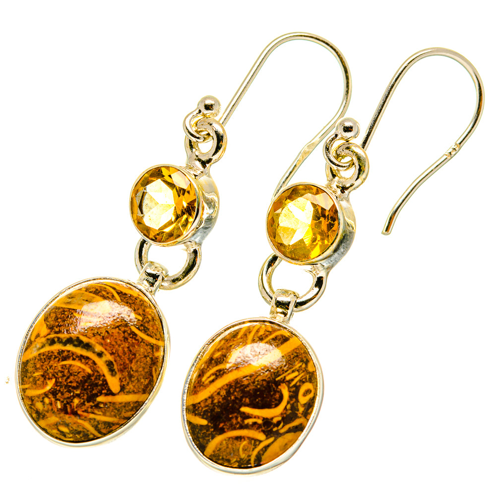 Palm Wood Jasper Earrings handcrafted by Anasilvercos - EARR417664