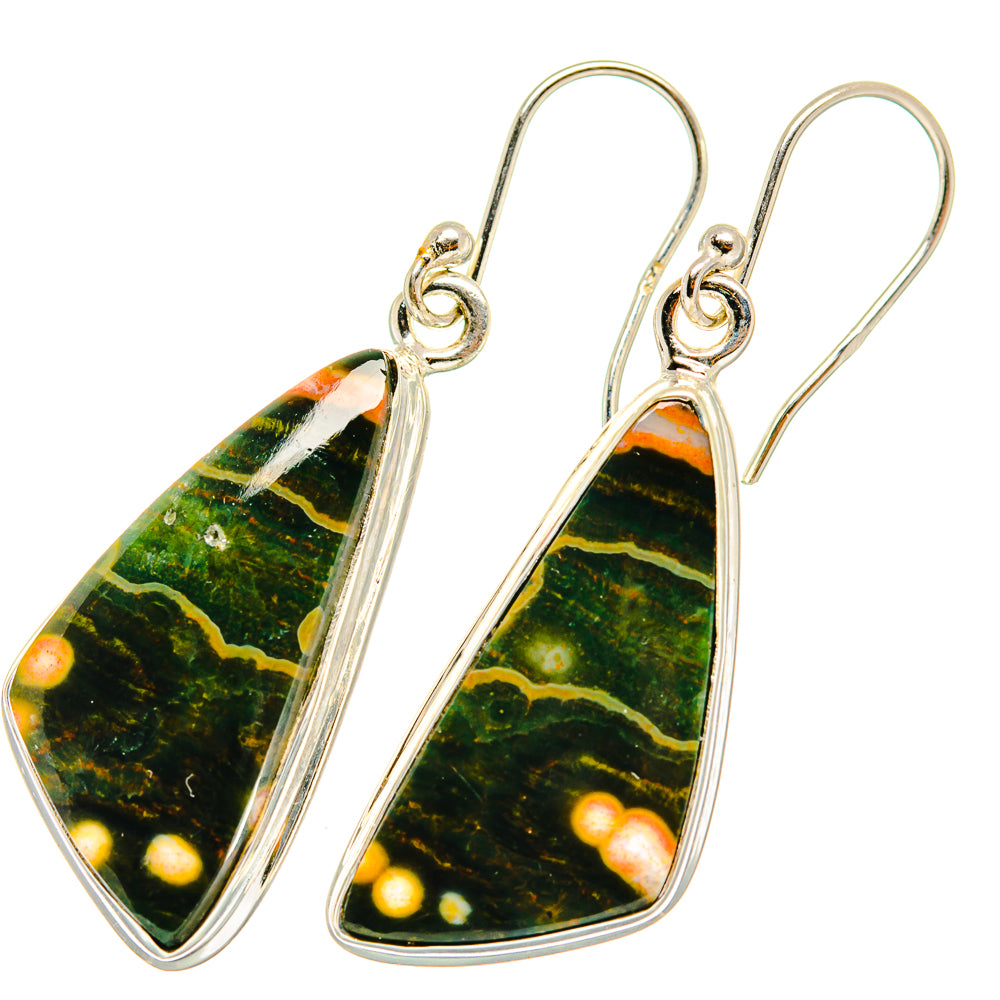 Ocean Jasper Earrings handcrafted by Anasilvercos - EARR417830