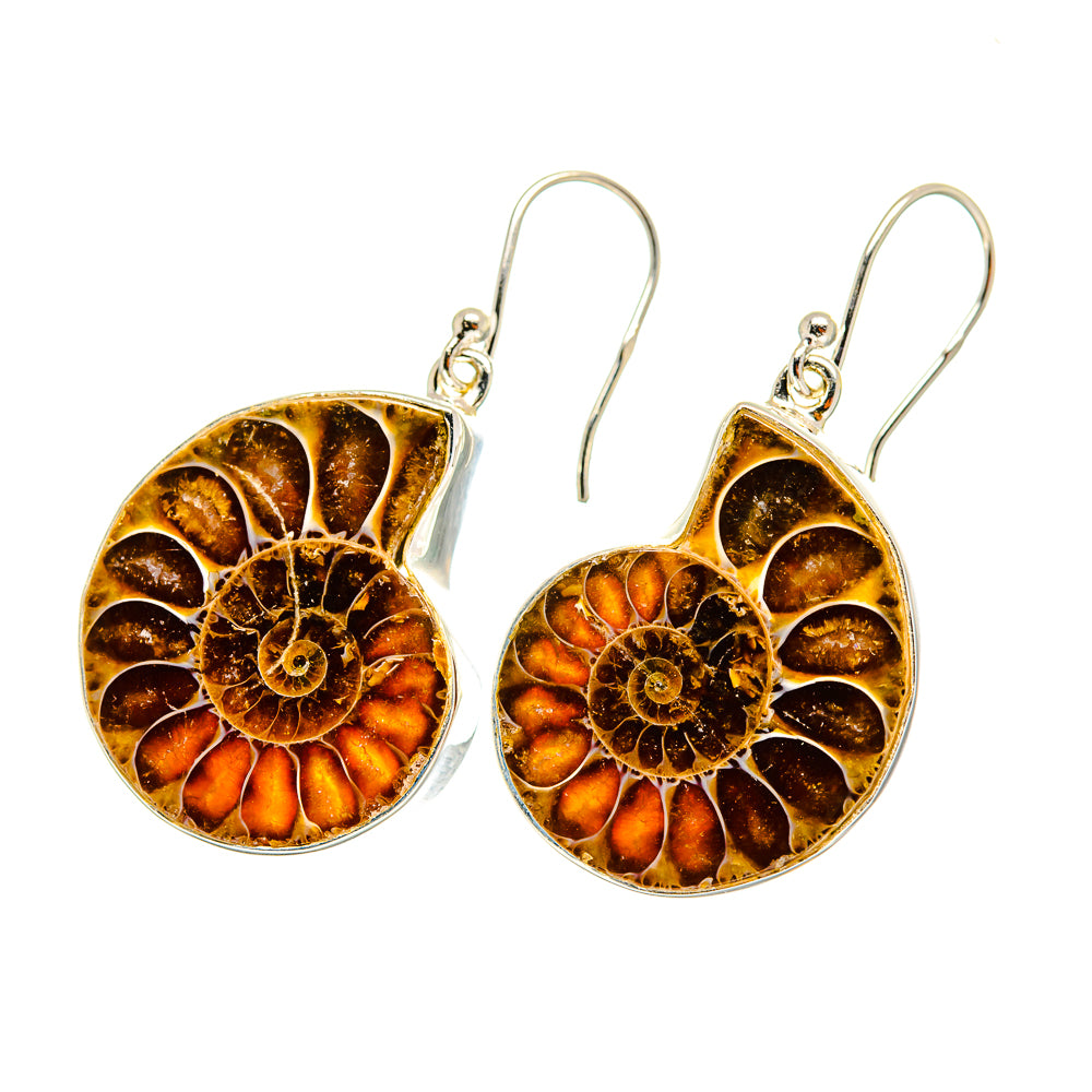 Ammonite Fossil Earrings handcrafted by Anasilvercos - EARR419314